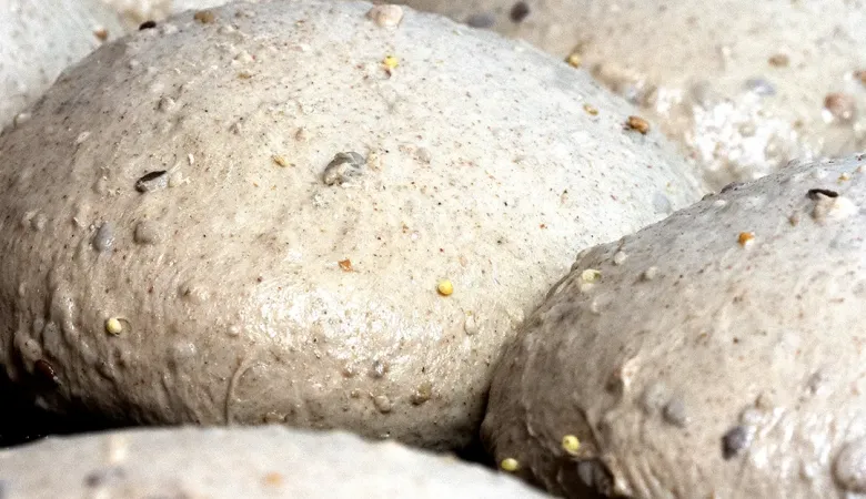 5Sapori - Successi Digitali con Tastiere Digitali