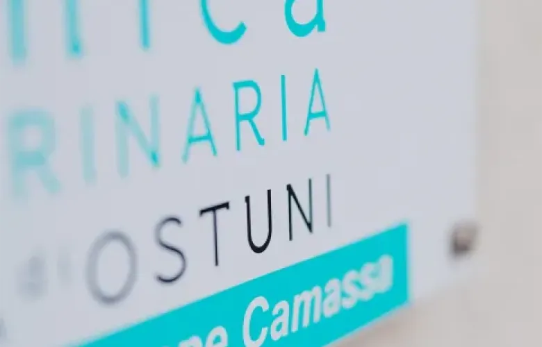 Clinica Veterinaria Citt&agrave; di Ostuni | Case study 