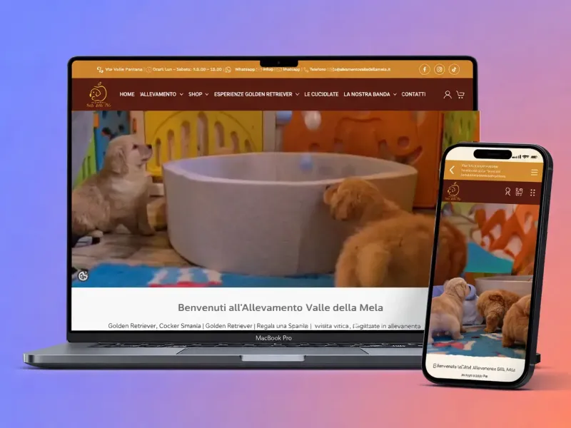 Portfolio - I Nostri Progetti