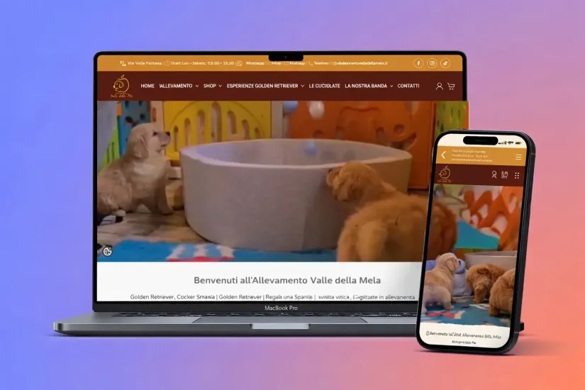 Valle della Mela | Case study social media e comunicazione digitale